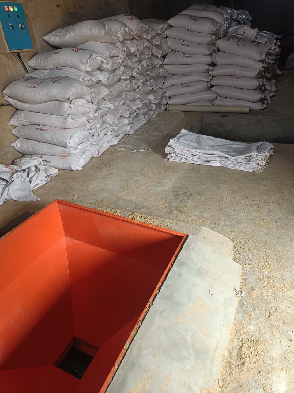 Modern poultry house interior
