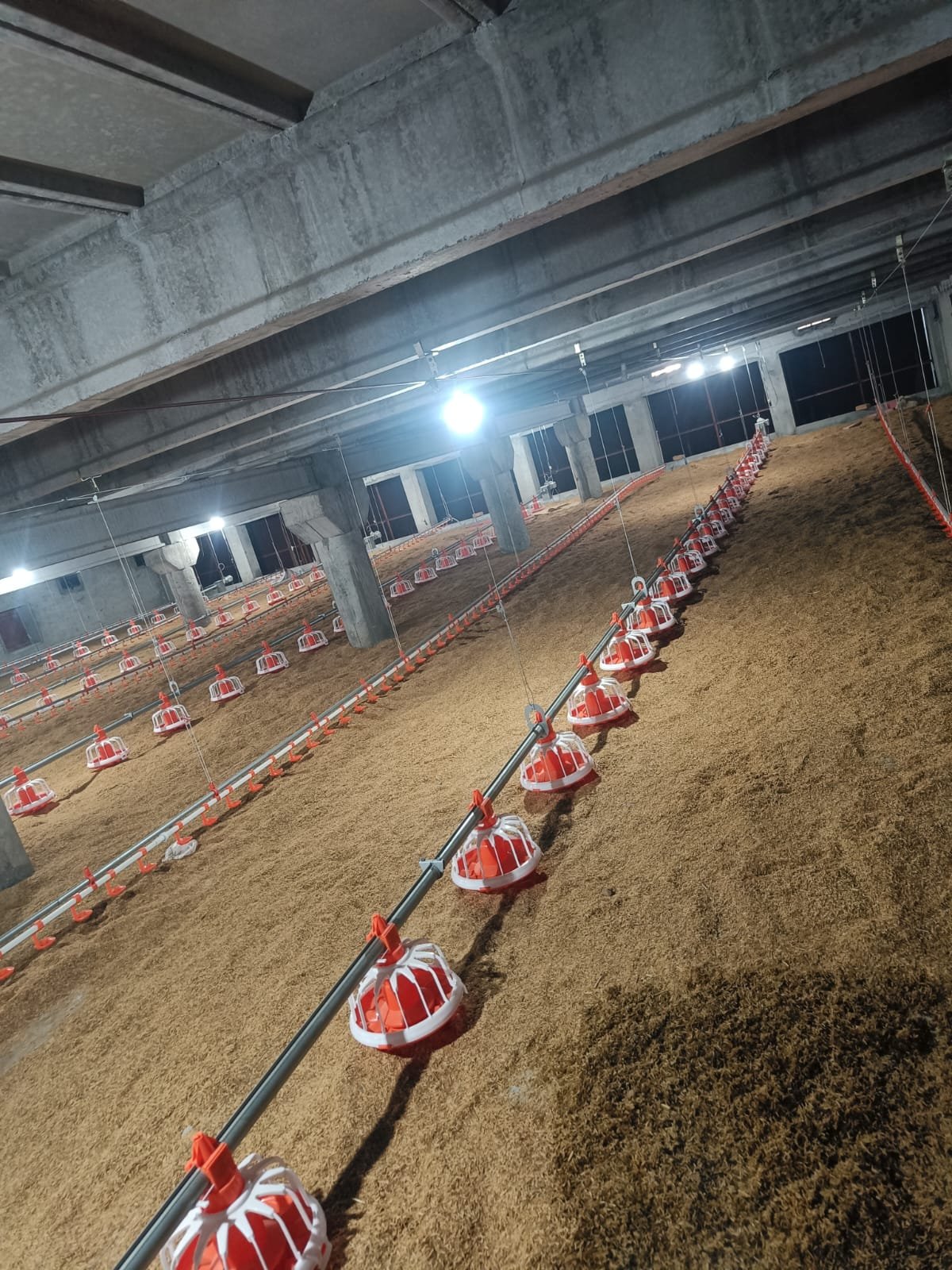 Modern poultry house interior